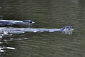 04 01 17_5199_edited-1